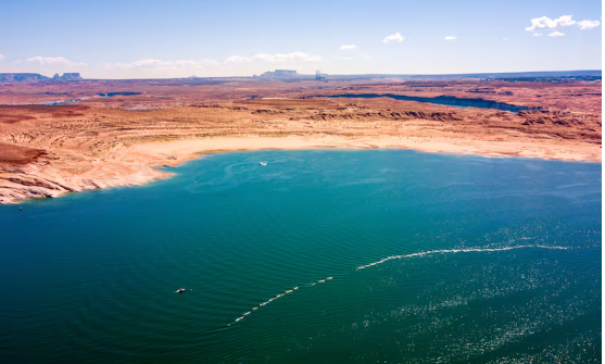 The Deoxygenated Desert , The Terrifying Expansion of the Ocean's Mid-Water Dead Zones