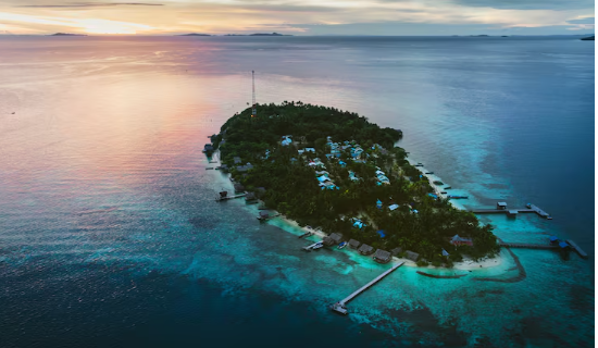 The Deep-Sea Ecosystem Off the U.S. Virgin Islands That No Scientific Expedition Has Ever Fully Documented