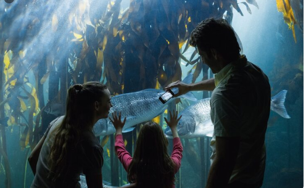 The Light Recyclers , How Deep-Sea Fish Use Crystal Prisms to Survive Complete Darkness
