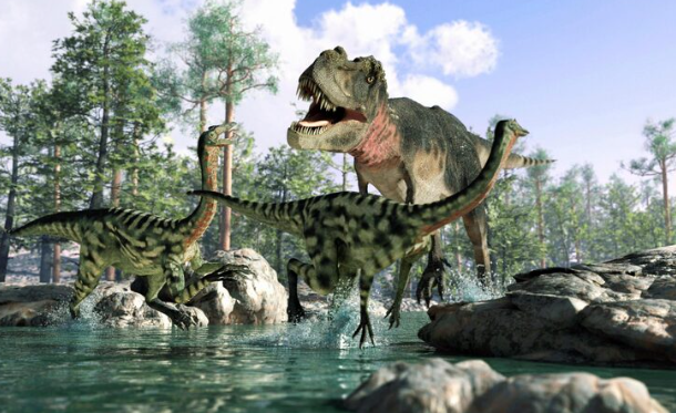Researchers at the University of Hawaii Found Life in Ocean Sediment So Old It Predates the Dinosaurs