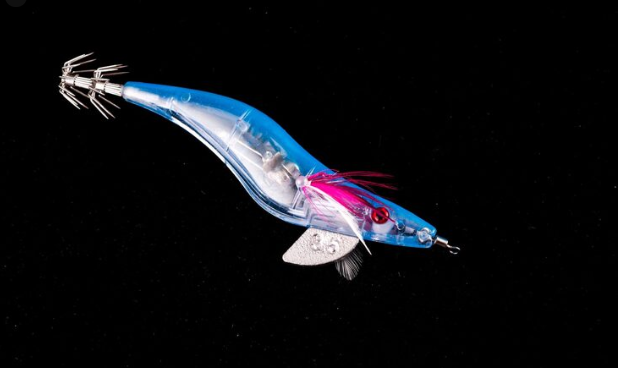 Neon Flying Squid in the Pacific Ocean