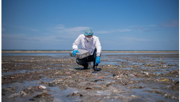 The Coastal Buffer Failure , Why the Deep Ocean Can No Longer Protect Us From Our Own Pollution