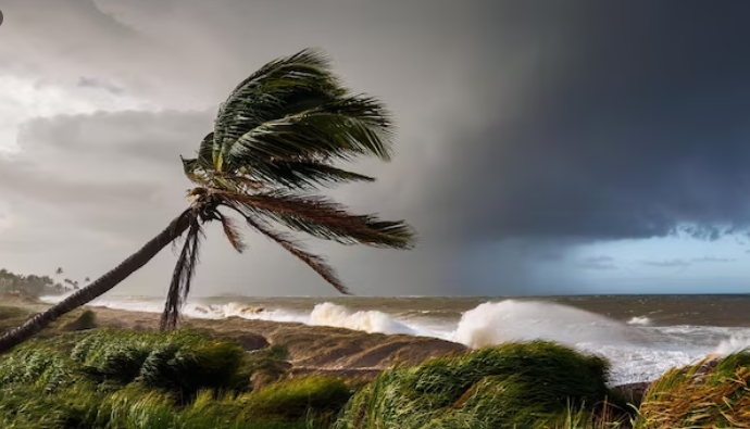 The Upwelling Emergency , How Changing Wind Patterns Are Starving Coastal Marine Life of Crucial Nutrients